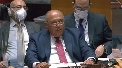 رئيس برلمانية الوفد: كلمة وزير الخارجية بمجلس الأمن قوية ومعبرة عن واقع الشعب المصري