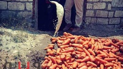 اعدام 2 طن مخللات فاسدة بديرب نجم فى الشرقية