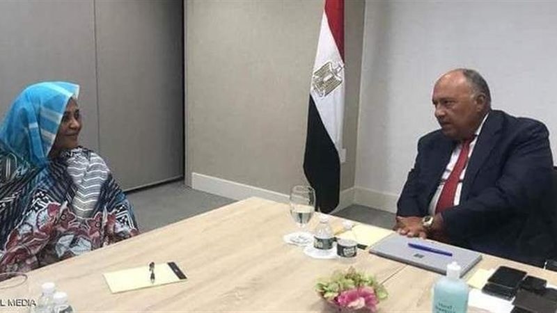 وزير الخارجية المصري