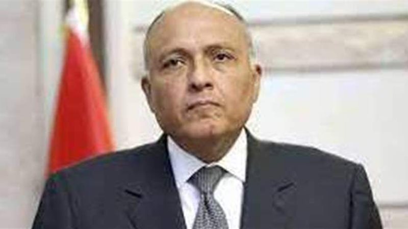 سامح شكري وزير الخارجية