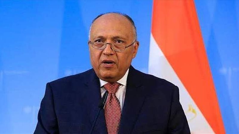 سامح شكري وزير الخارجية