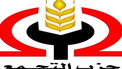 أمينة النقاش: إجبار الأحزاب على الاندماج أمر مرفوض