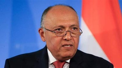 وزير الخارجية عن أزمة سد النهضة: الأمر في مجلس الأمن معقد لتشابك المصالح