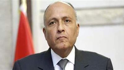 وزير الخارجية: قضية مياه النيل وجودية ولن نتهاون في الدفاع عن مصالحنا