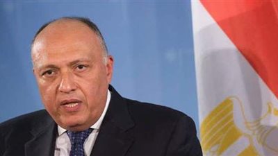 وزير الخارجية: حجج إثيوبيا أمام مجلس الأمن ضعيفة