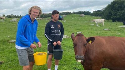 الفتي الذهبي هالاند يقضي إجازته في إطعام الماشية | صور