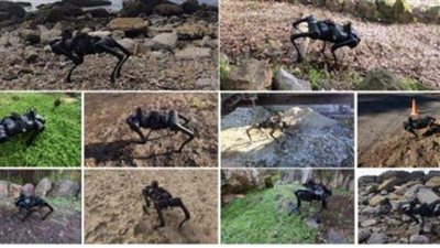 اختبار كلب آلي للسير في ظروف قاسية | فيديو