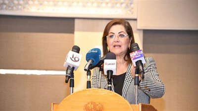 التخطيط: تطوير 270 مركزا تكنولوجيا بقيمة 10,5 مليار جنيه خلال 2020