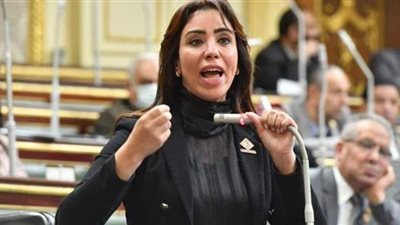 نائبة تطالب بتوزيع أسماء المتحرشين على المصالح الحكومية لهذه الأسباب