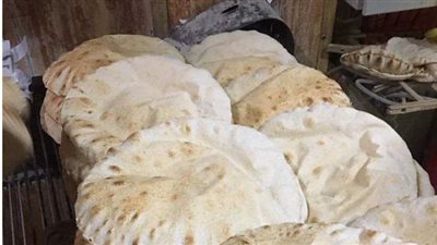 تحرير 96 محضرا تموينيا لمخالفات المخابز بالدقهلية