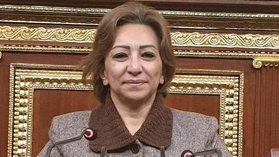 نائبة تطالب بحملة توعية بقانون التحرش وتطبيقه بأماكن العمل والجامعات