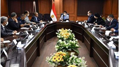 وزير الرياضة يترأس اجتماع اللجنة العليا لمبادرة مصر بلا غرقى