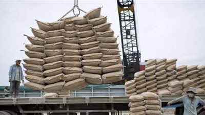 شعبة منتجي الأسمنت تطالب الشركات بالتكاتف من أجل مستقبل أفضل للقطاع