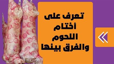 تعرف على أختام اللحوم والفرق بينها | إنفوجراف