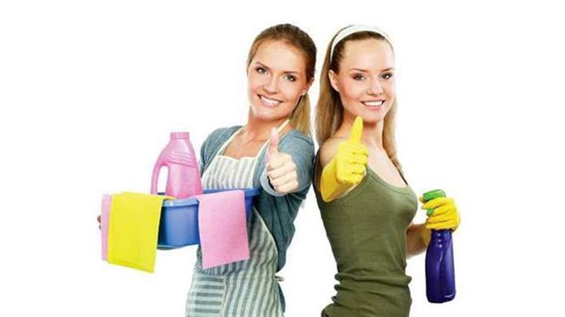 علاج النمل في البيت