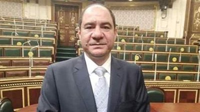 نائب يحذر من الألعاب المسيئة للأديان ويؤكد: عصابات دولية تقف وراءها لهدم القيم