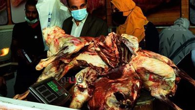 إعدام طن مواد غذائية فاسدة في حملة للرقابة الإدارية بالدقهلية | صور