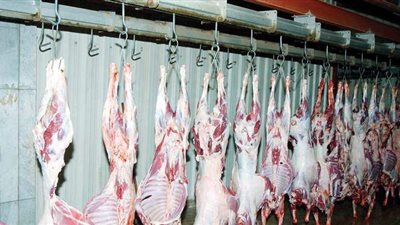 محافظ القاهرة: إعلان حالة الطوارئ بالمجازر