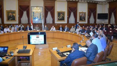 محافظ القاهرة يشدد على توفير اللحوم بالمجمعات الاستهلاكية
