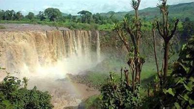 أمطار غزيرة على المنابع.. الري تكشف حالة فيضان النيل