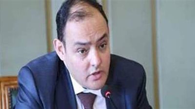 برلماني: الاستغلال الأمثل لأصول الدولة يساهم في تحسين الاقتصاد