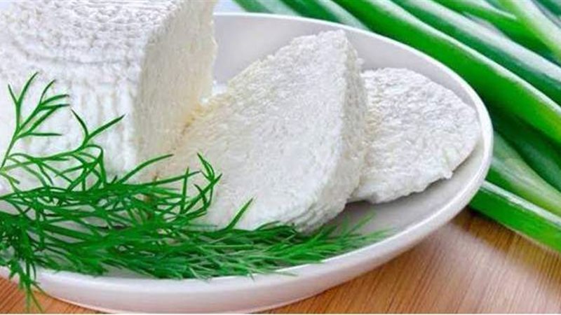 فوائد الجبن القريش