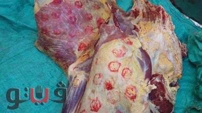 نصائح مهمة لتجنب أضرار اللحوم في عيد الأضحى