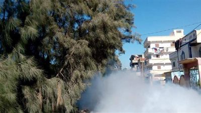 حملات مكثفة لتطهير وتعقيم الشوارع والميادين بالإسكندرية | صور