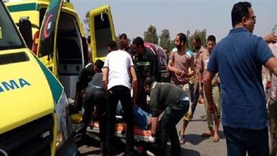 تفاصيل إصابة ٧ أشخاص في حادث سير بالدقهلية