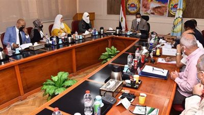 محافظ مطروح يوجه بحصر المشروعات الاستثمارية لتنميتها | صور