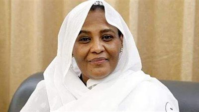 السودان يعتزم التوجه إلى مجلس حقوق الإنسان بسبب تصرفات إثيوبيا بشأن سد النهضة