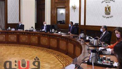 رئيس الوزراء يلتقي وفد شركة سكاتك النرويجية للطاقة المتجددة