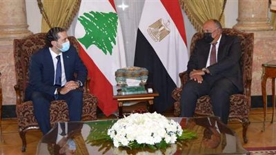 شكري يؤكد للحريري دعم مصر للبنان للخروج من الوضع الحالي