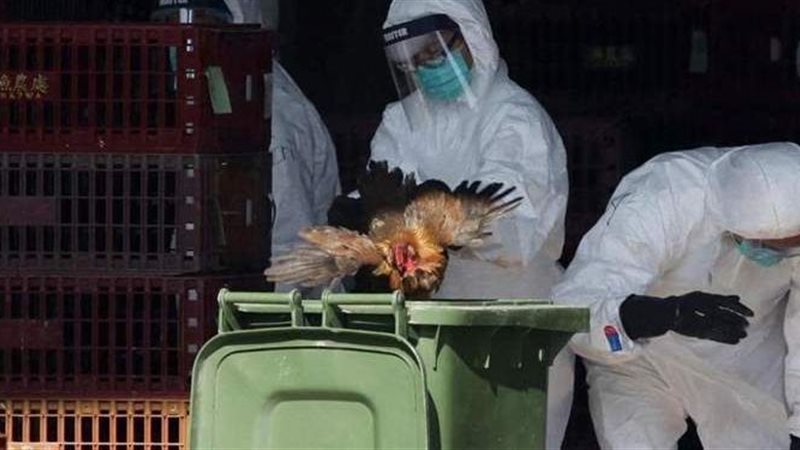 ظهور إصابة بشرية