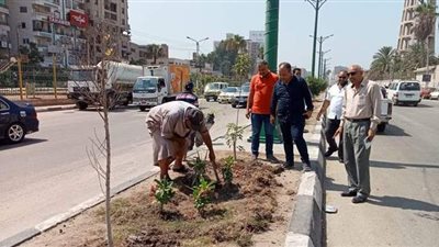محافظ الدقهلية يتابع أعمال التجميل والتشجير والنظافة في الشوارع والميادين