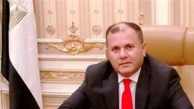 برلماني: توثيق الغرامة على الرقم القومي تفض الاشتباك بين الكمسارية والمخالفين