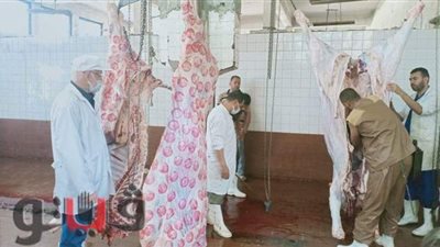 محافظ الغربية: الذبح داخل المجازر بالمجان طوال أيام العيد