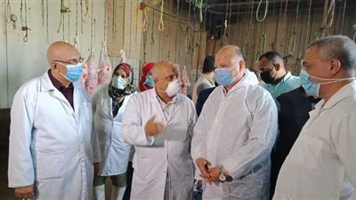 بيطري القاهرة: إعدام أكثر من ٣٠ عجلا غير صالح للاستخدام الآدمي