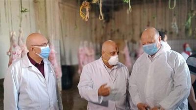 بيطري القاهرة: أختام بالمجزر الآلى بها أرقام سرية غير قابلة للتزوير