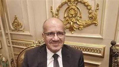 نائب بالشيوخ: طمأنة الرئيس للشعب في ملف سد النهضة تؤكد قوة الدولة