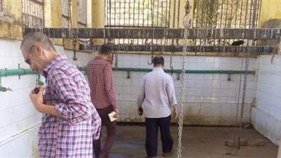 المنيا تستعد لاستقبال عيد الأضحى بالحملات المكثفة | صور