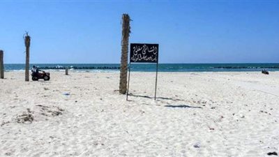 محافظ الإسكندرية يكشف مصير 