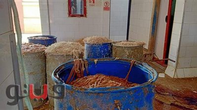 إعدام 26 طن لحوم ومخللات وتحرير 11 محضرا في الشرقية