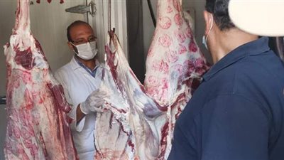 إعدام أغذية فاسدة في حملات مكبرة بالدقهلية | صور