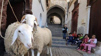 تعرف على السنن المشروعة للمضحي يوم النحر