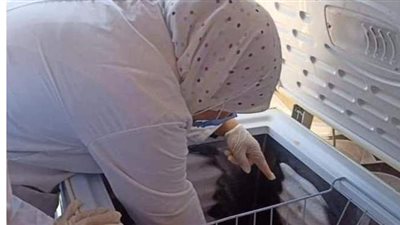 حملات مكثفة على أسواق الوادي الجديد استعدادا لعيد الأضحي