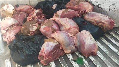 ضبط أكثر من 120 طن لحوم ومنتجاتها غير صالحة للاستهلاك الآدمي وذبح خارج المجازر