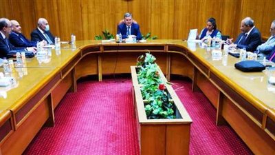 هشام توفيق: اهتمام كبير من القيادة السياسية بتطوير قطاع الغزل والنسيج