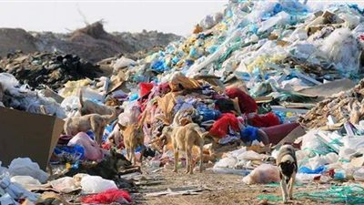 رفع 16 طنا من المخلفات والقمامة في الأقصر