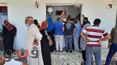 إقبال كثيف على اللحوم في منافذ البيع بالإسماعيلية | صور